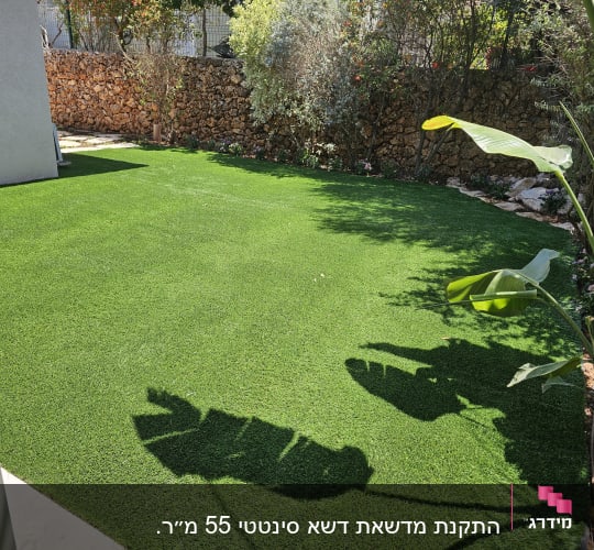 דשא ירוק עם צמחים וצללים בגינה